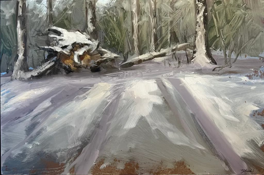 Snowy Forest Trail