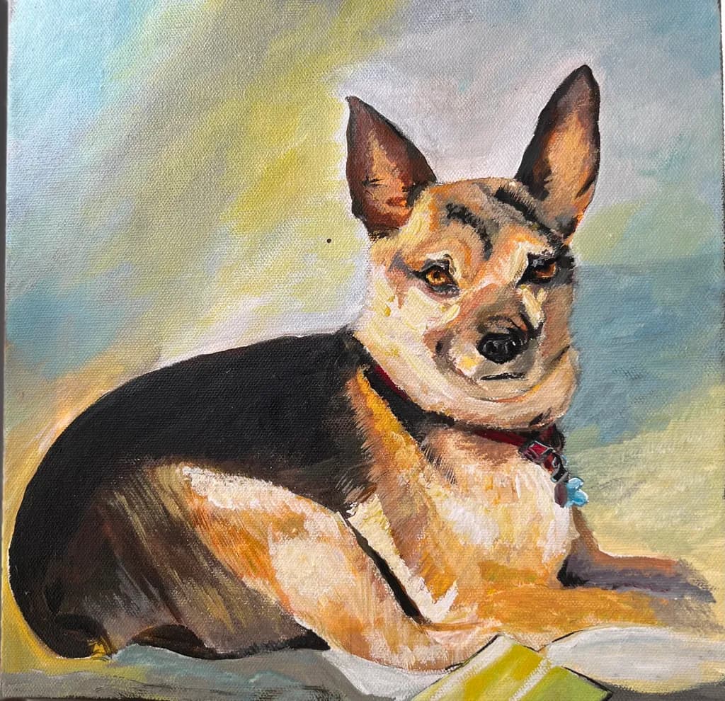 Resting Dog Portrait
