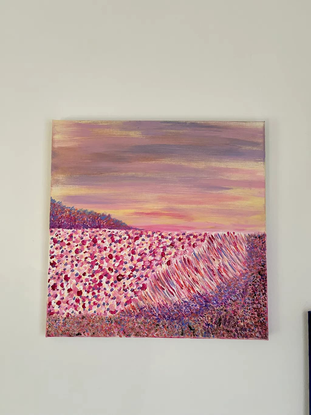 Lavender Field Sunset