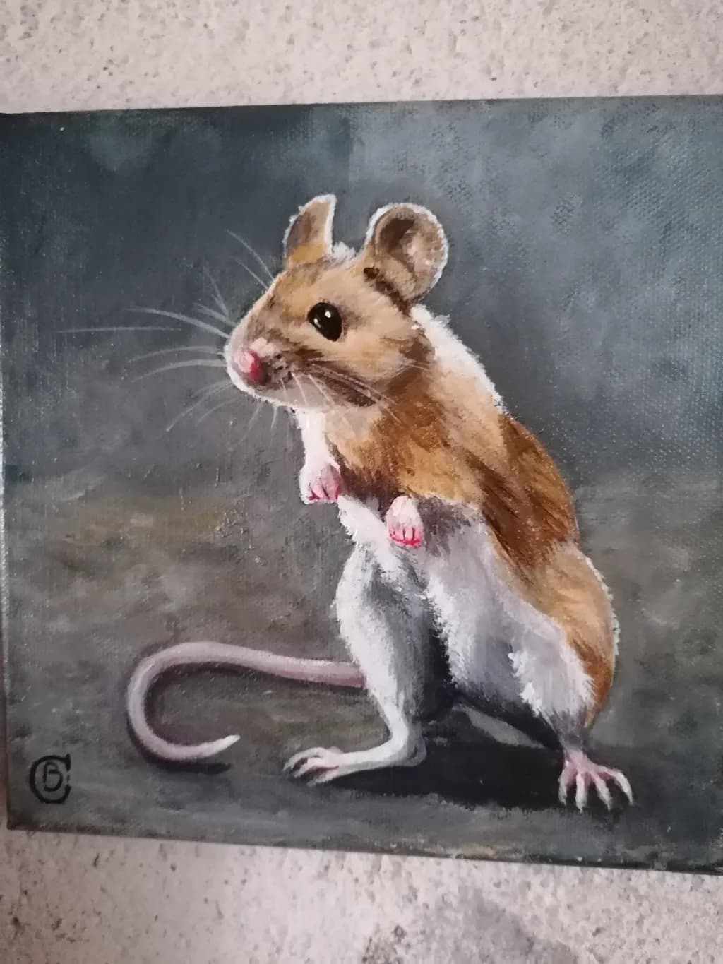 Curious Mouse