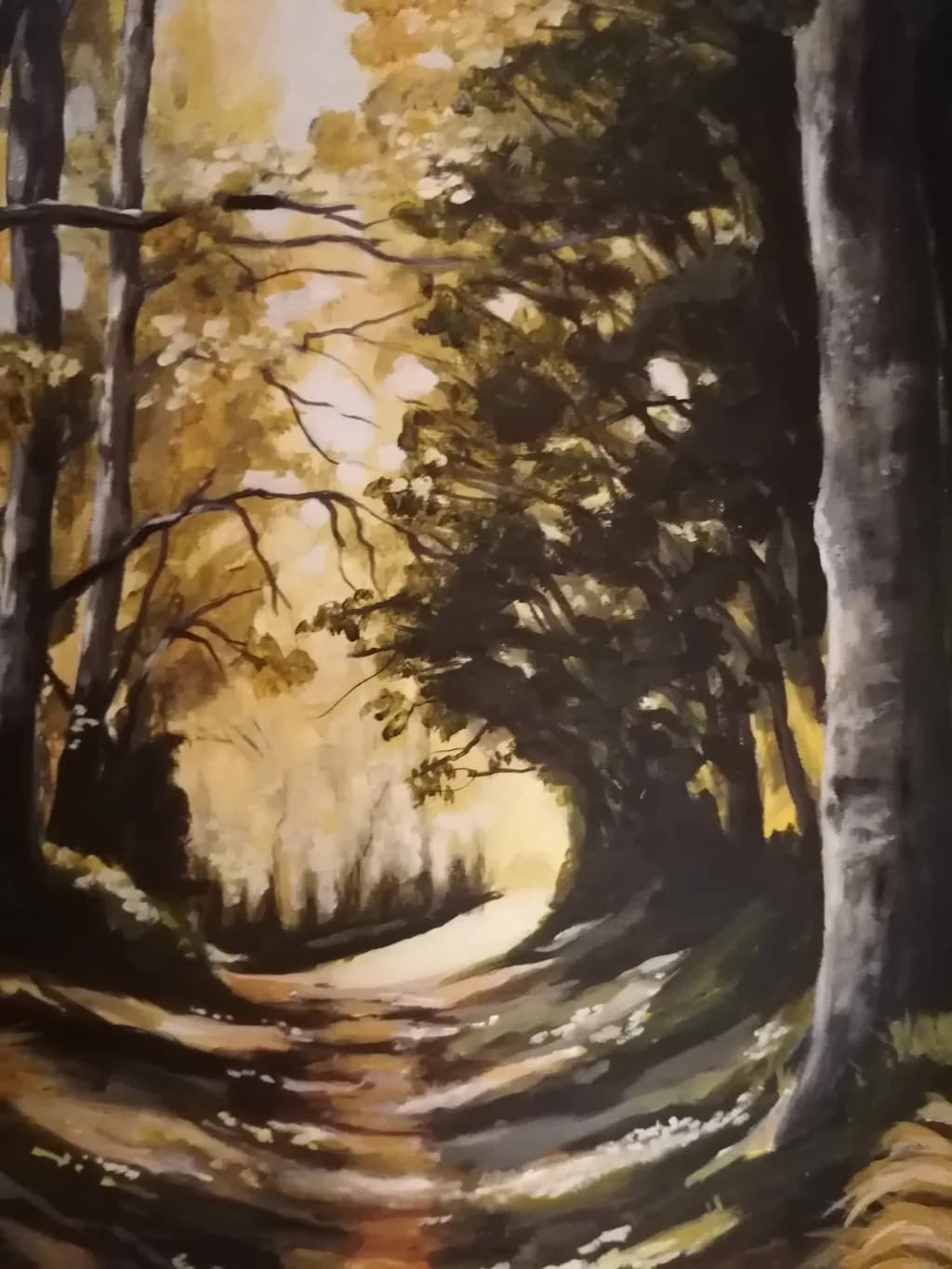Forest Path Shadows