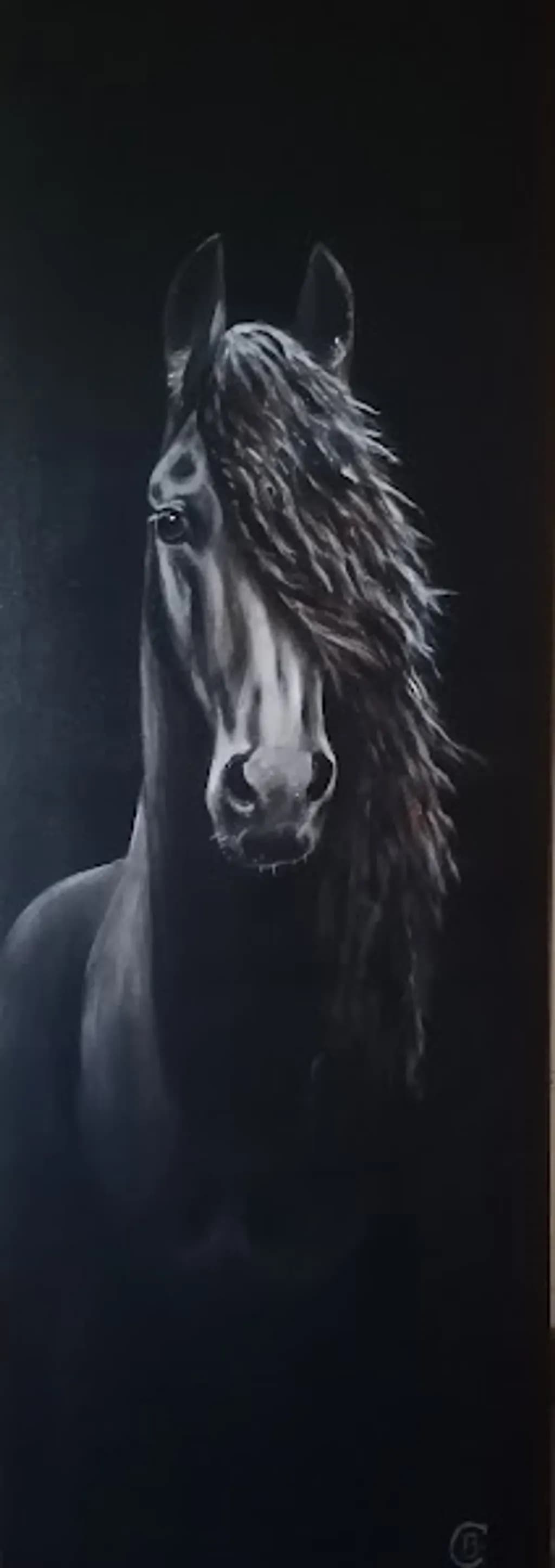 Friesian Horse Portrait