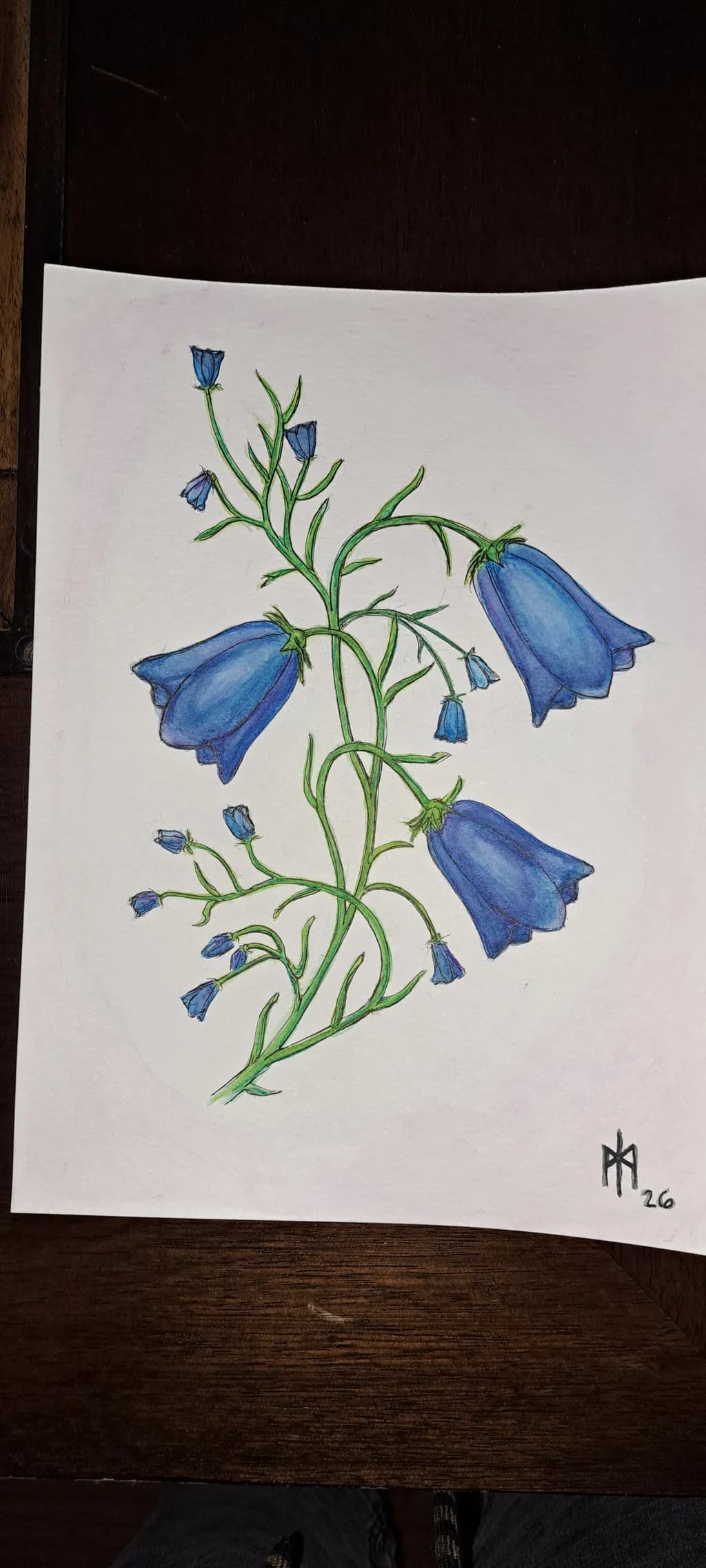 Bluebell Bouquet