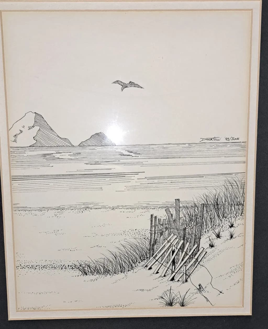 Coastal Fence Sketch