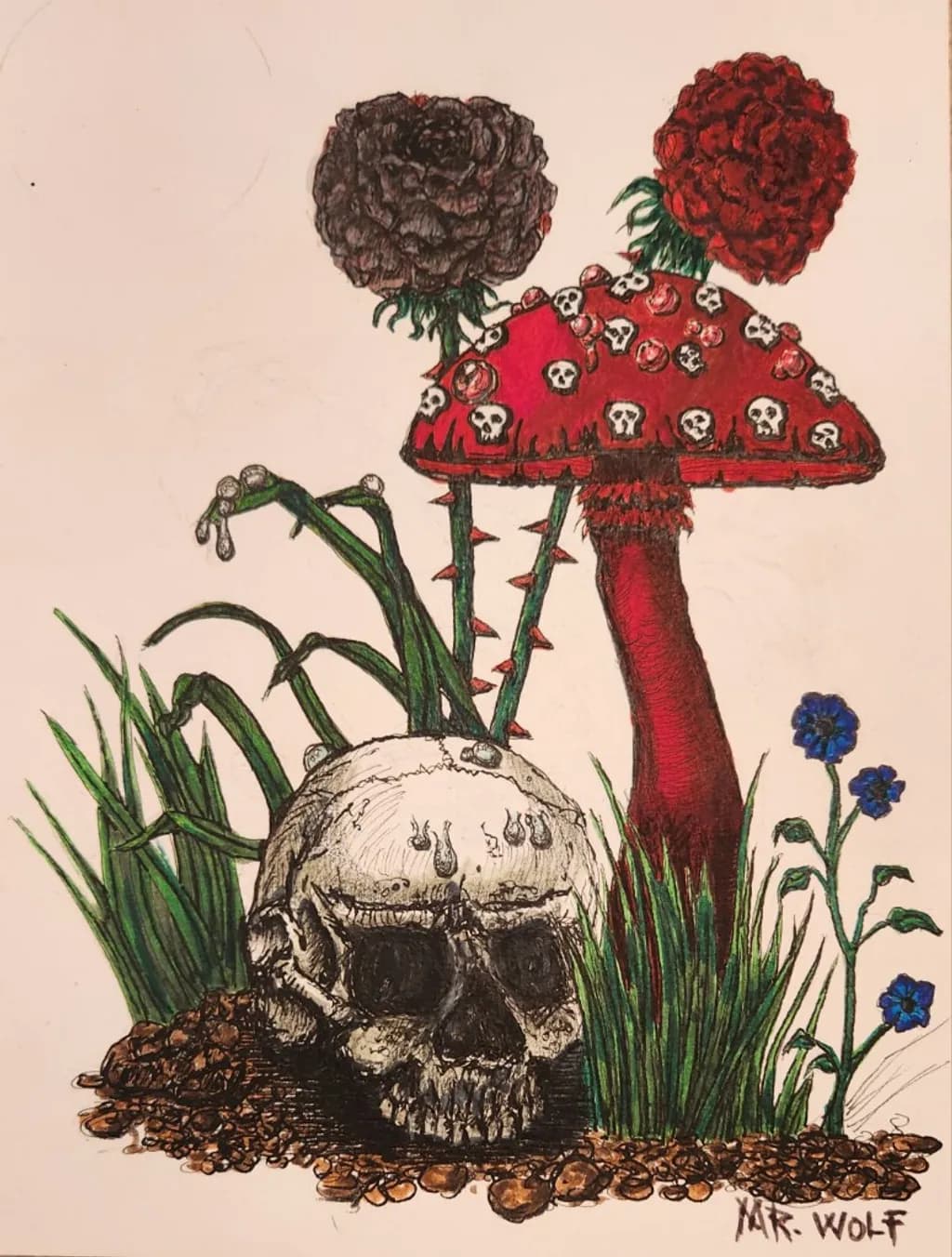 Skull and Mushroom Garden