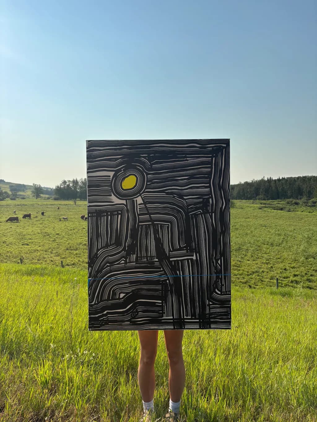 Abstract Sunfield Lines