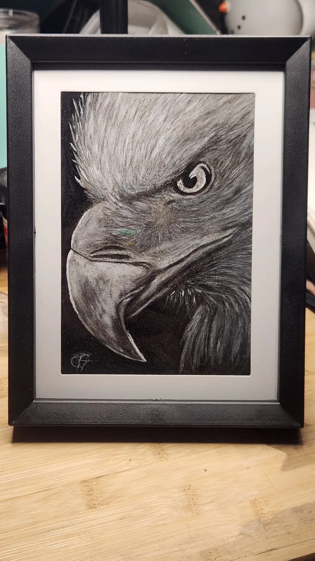 Eagle Portrait