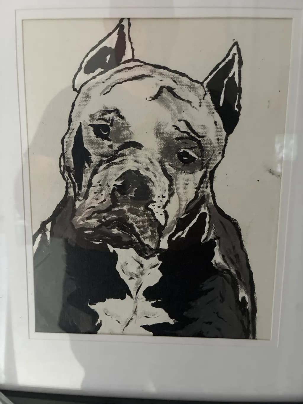 Stoic Dog Portrait