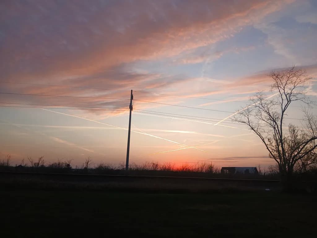 Sunset Sky and Trees