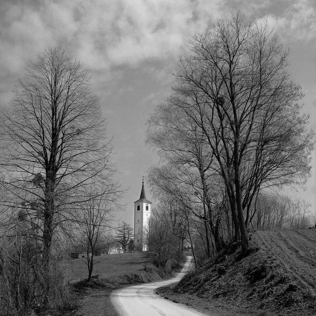 Church Road Landscape
