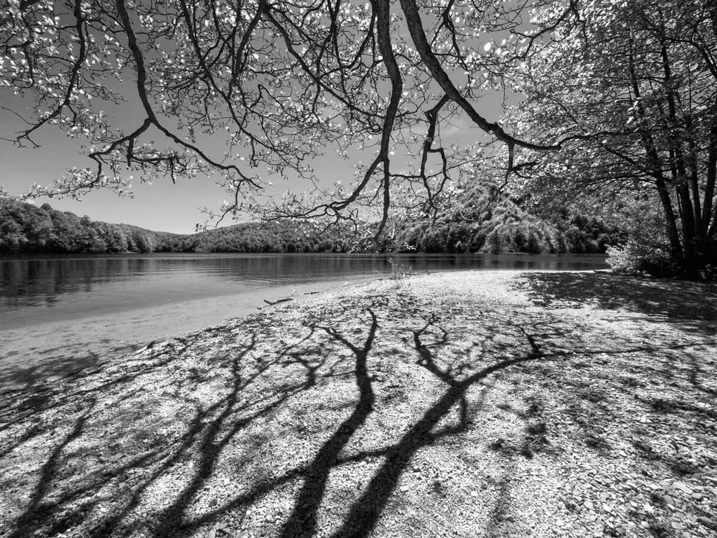 Plitvicka Cipkarica Lake Scene