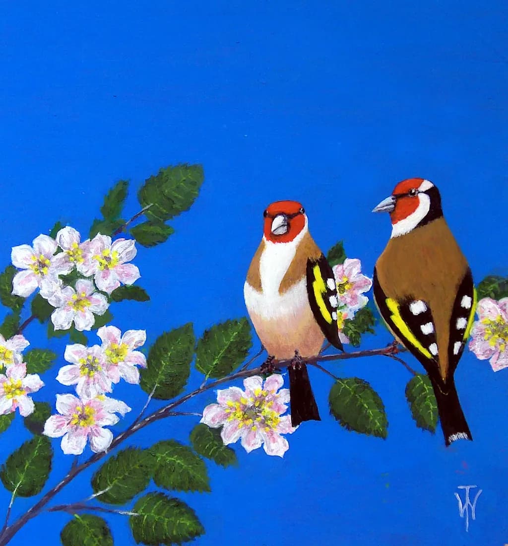 Goldfinch on Apple Blossom