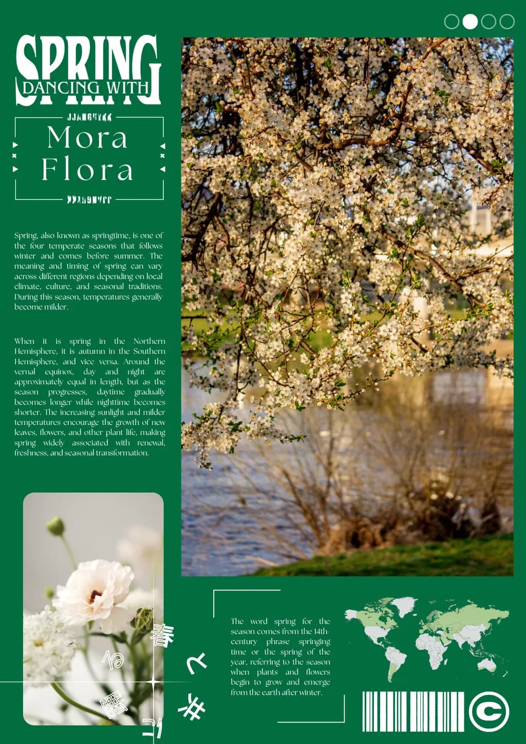 Spring Flora