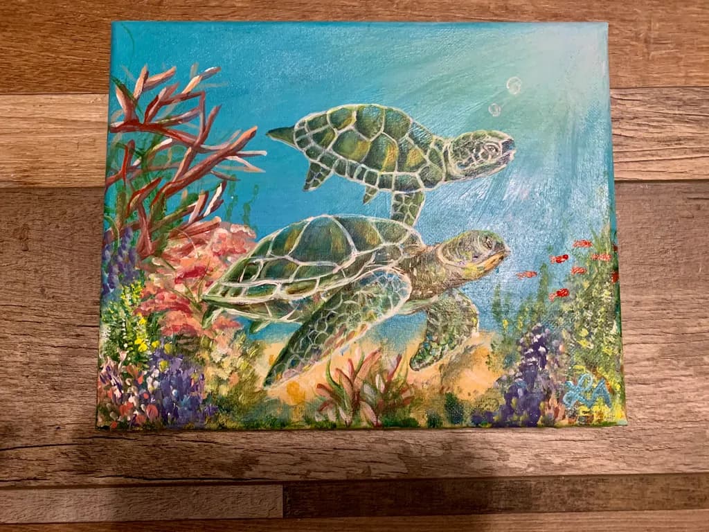 Sea Turtle Reef