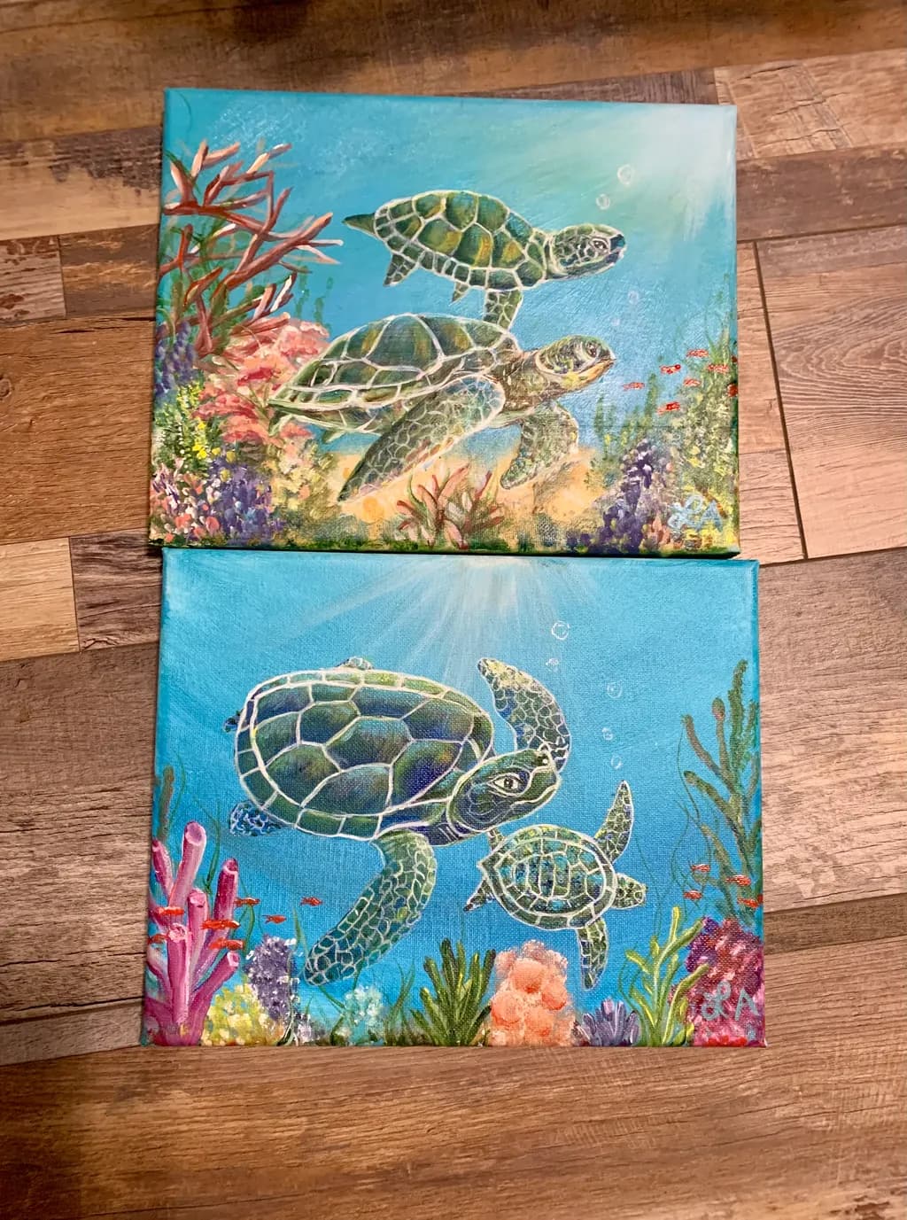 Sea Turtle Reef