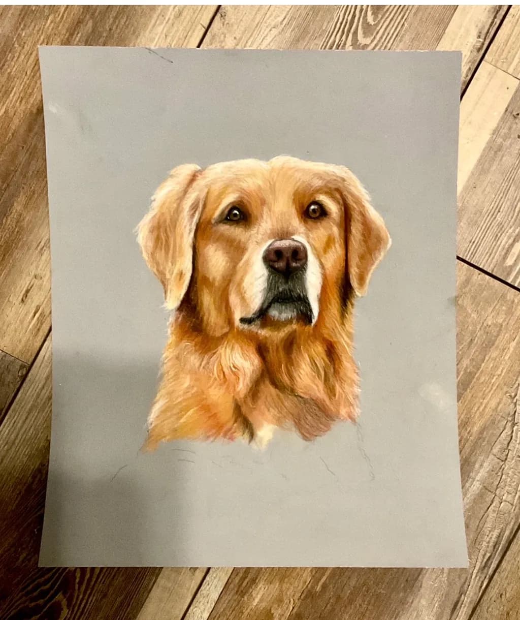 Golden Retriever Portrait
