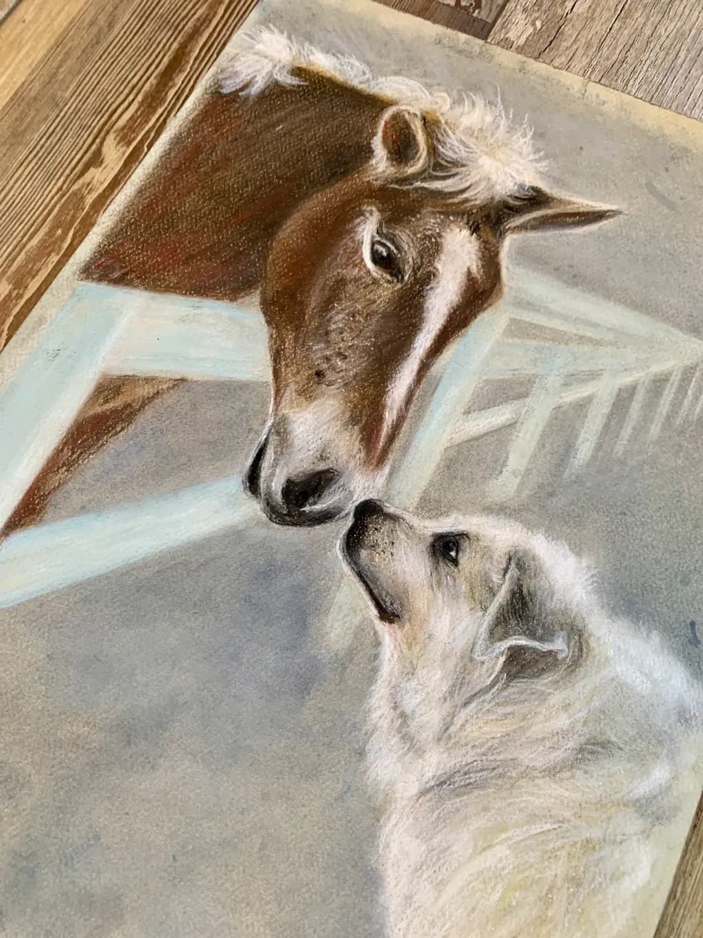 Horse and Dog Connection