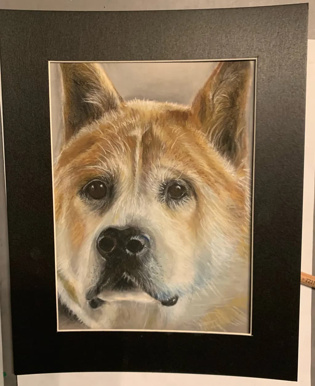 Dog Portrait Close-Up