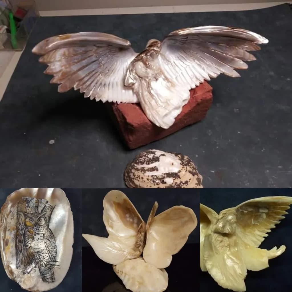 Winged Creature Shells