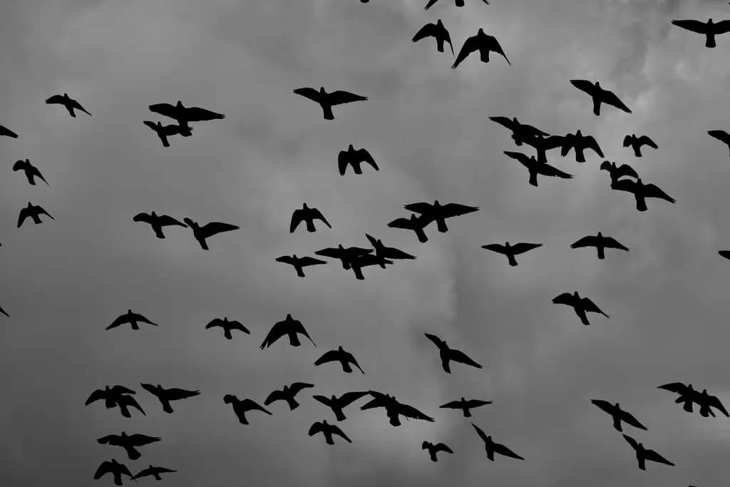 Flock Against Gray Sky