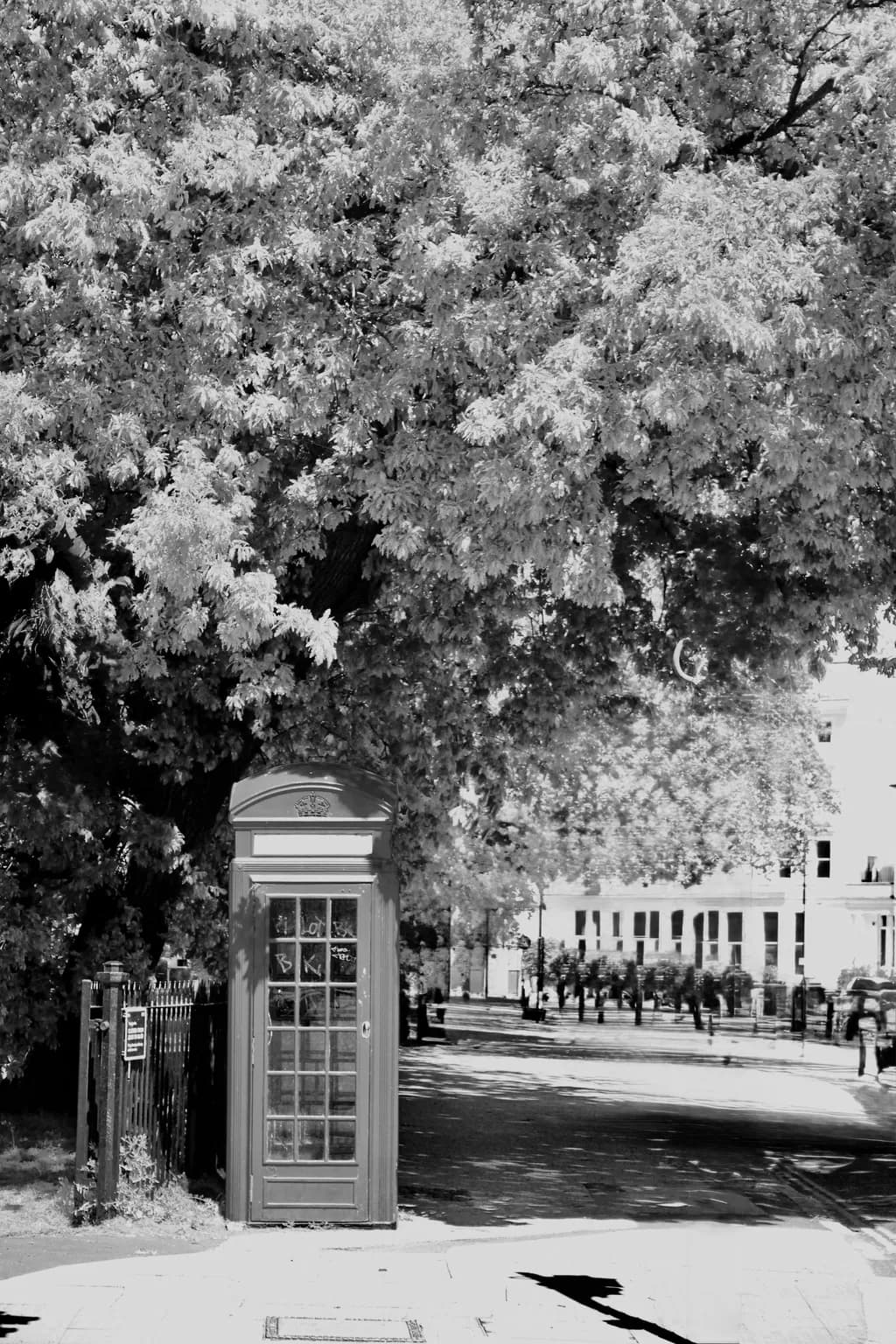 Red Phone Booth Under Tree