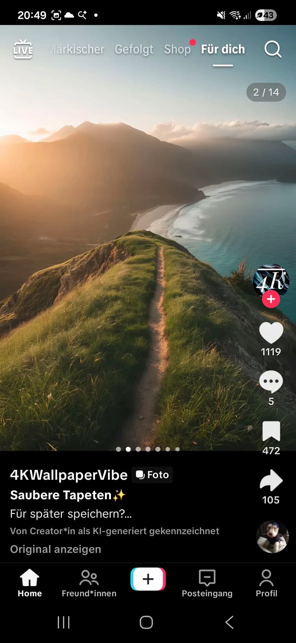 Coastal Ridge Path