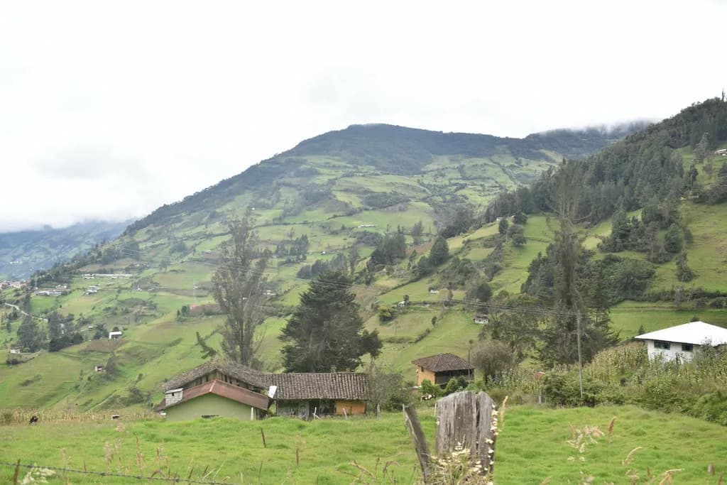 Mountain Valley Homestead