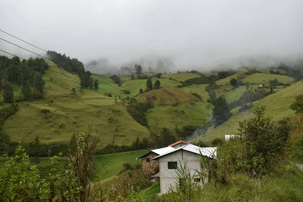 Misty Green Hillside