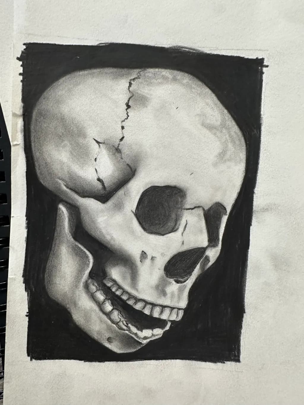 Skull Study