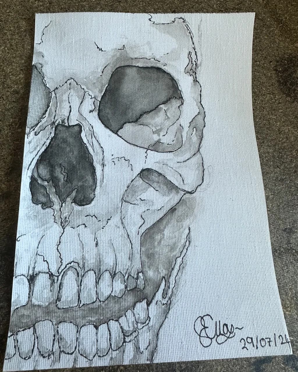 Detailed Skull Study