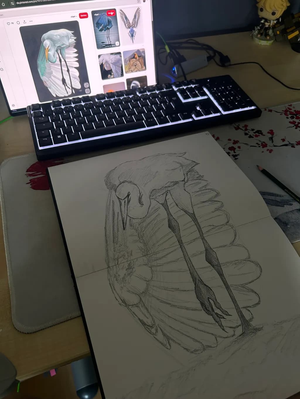 Wading Bird Study