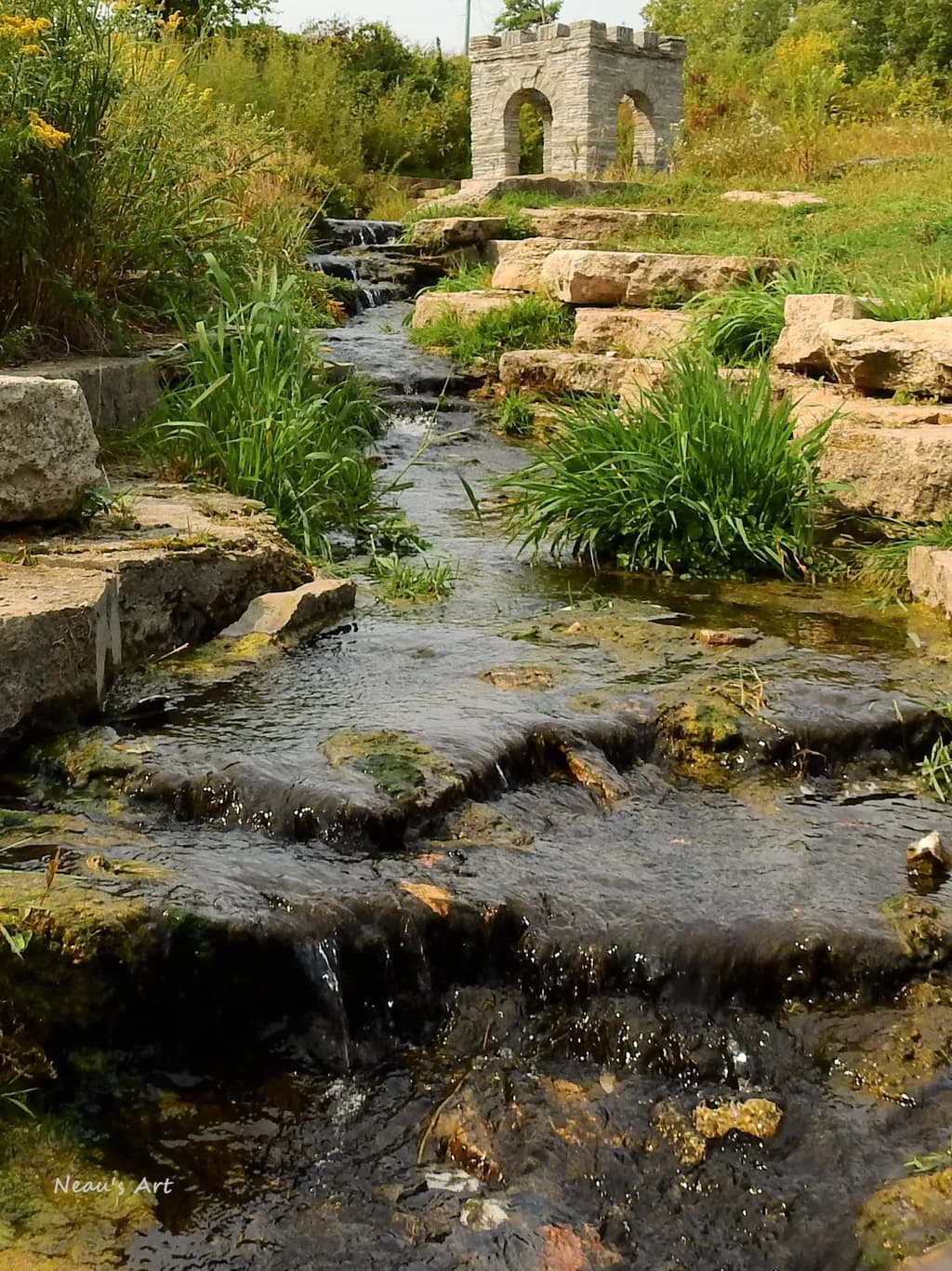 Stream and Stone Garden