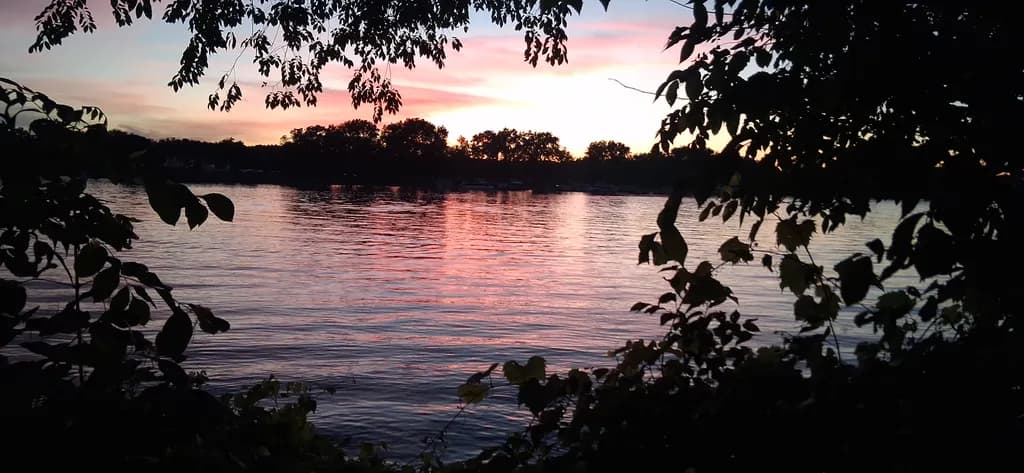 Lake Sunset Through Trees