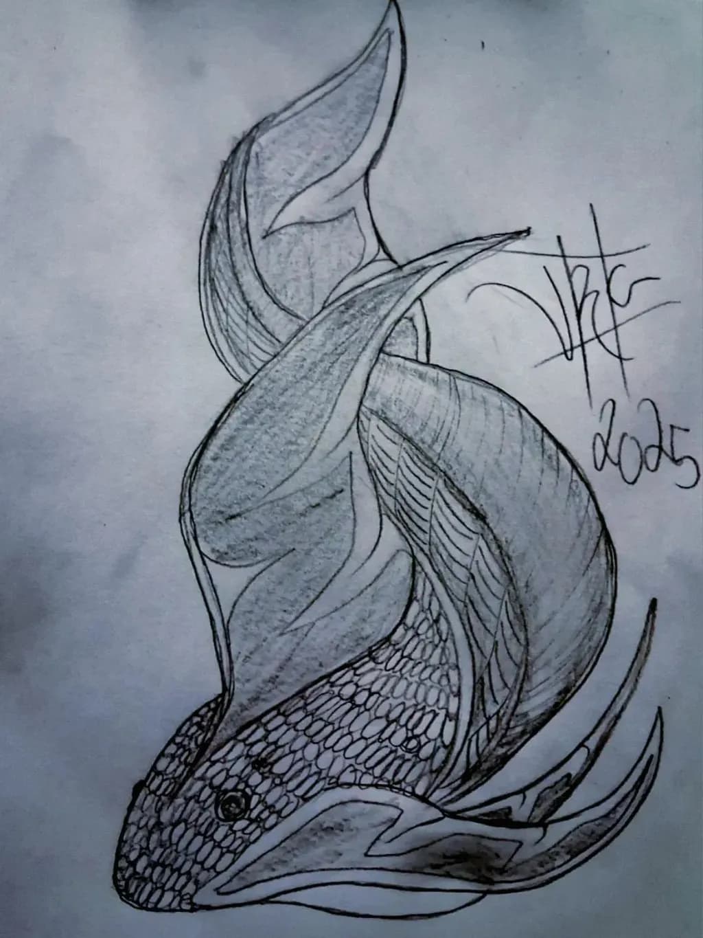 Fish Sketch