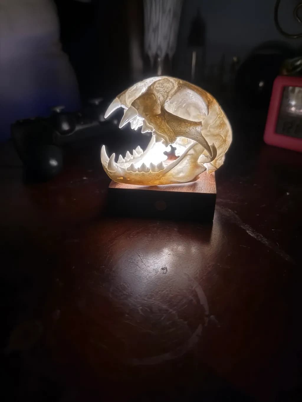 Illuminated Skull