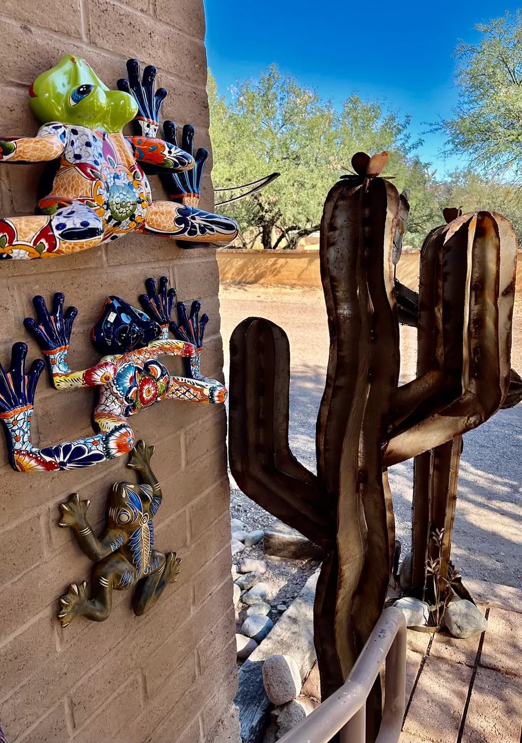 Desert Frogs and Cactus