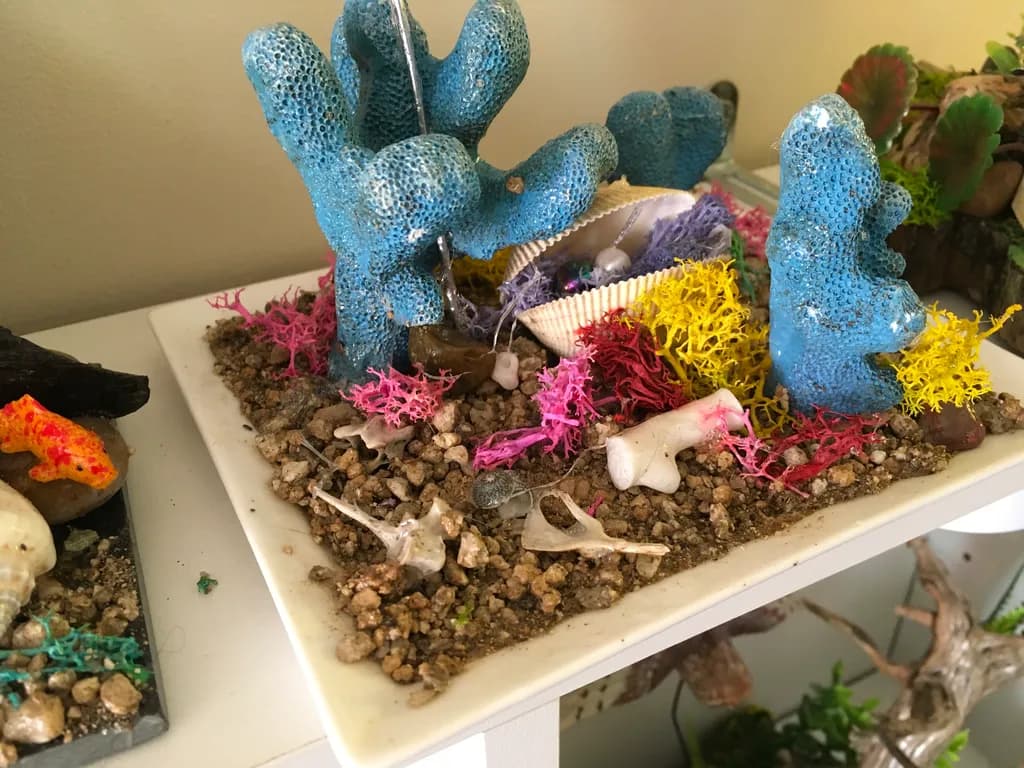 Coral Reef Tidy-Up