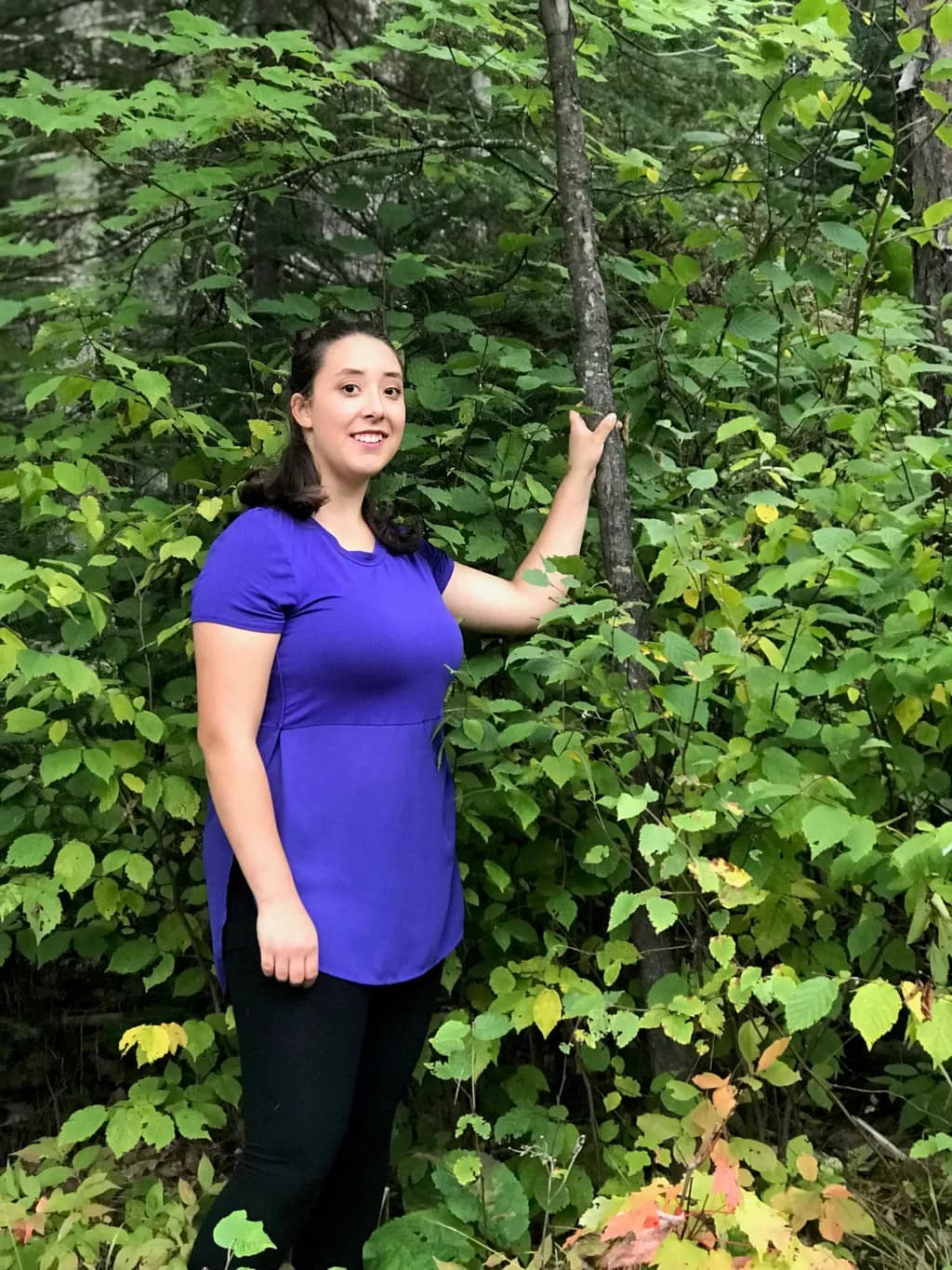 Purple in the Forest