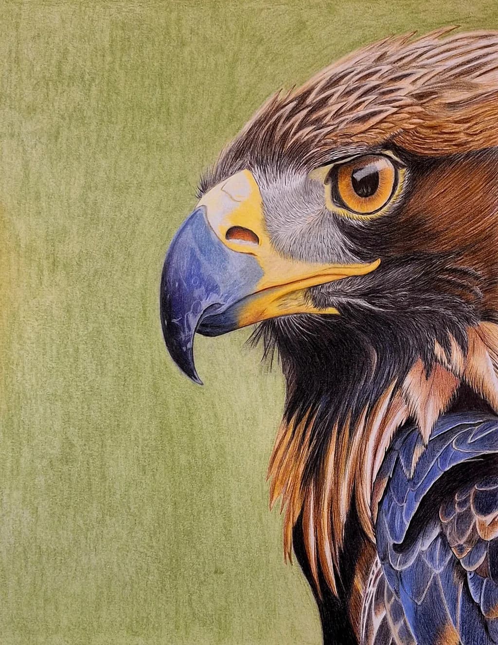 Eagle Portrait
