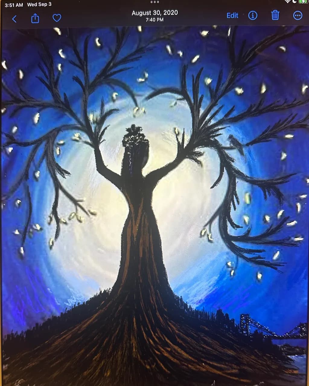 Tree Silhouette Moonlight