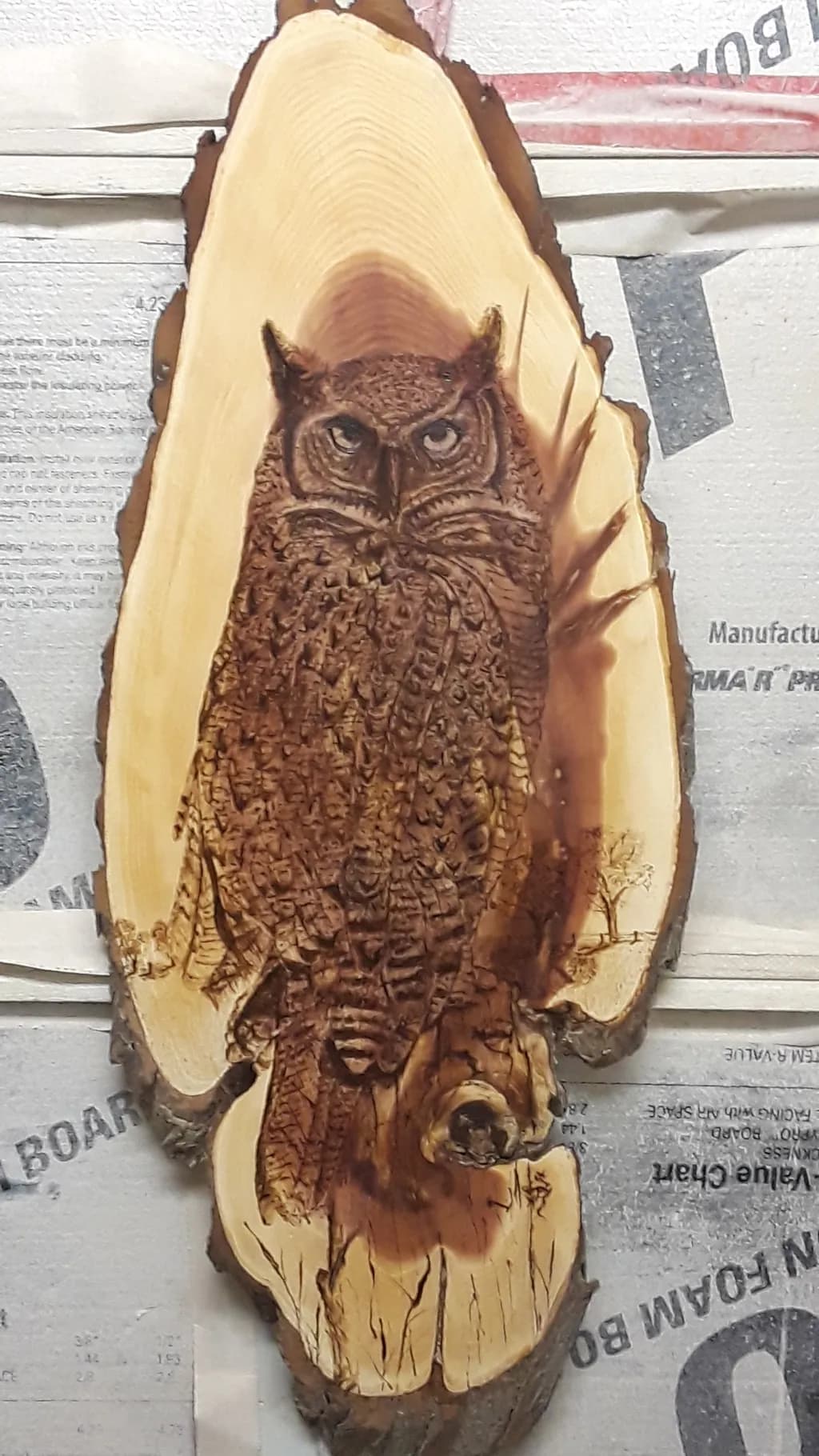 Owl on Wood Slab