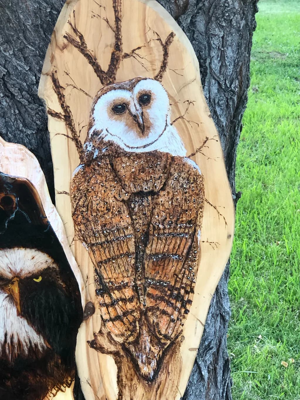 Barn Owl Woodcarving
