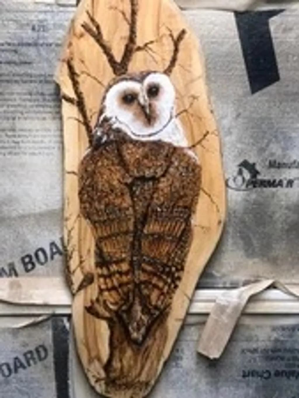 Barn Owl on Wood