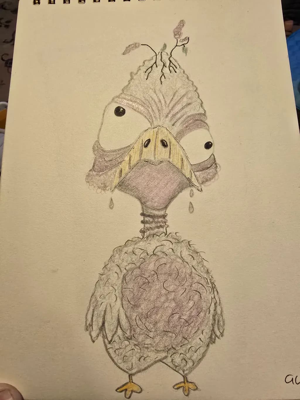 Inland Bird Character