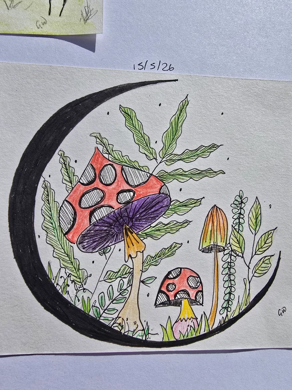 Mushrooms and Ferns Crescent