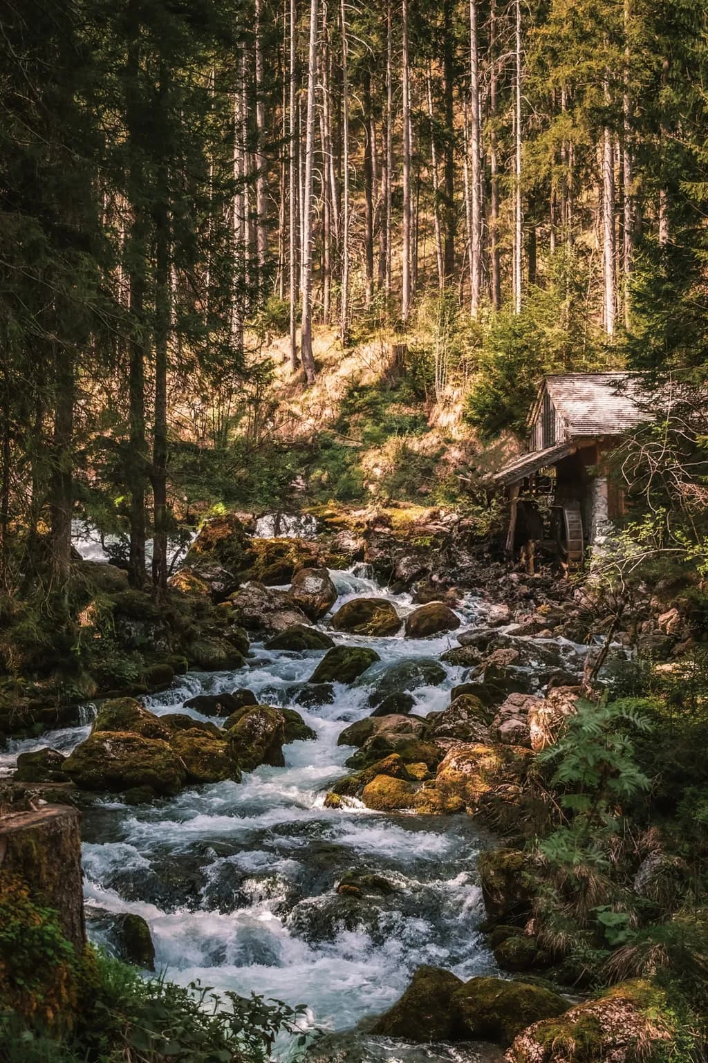 Forest Stream Mill