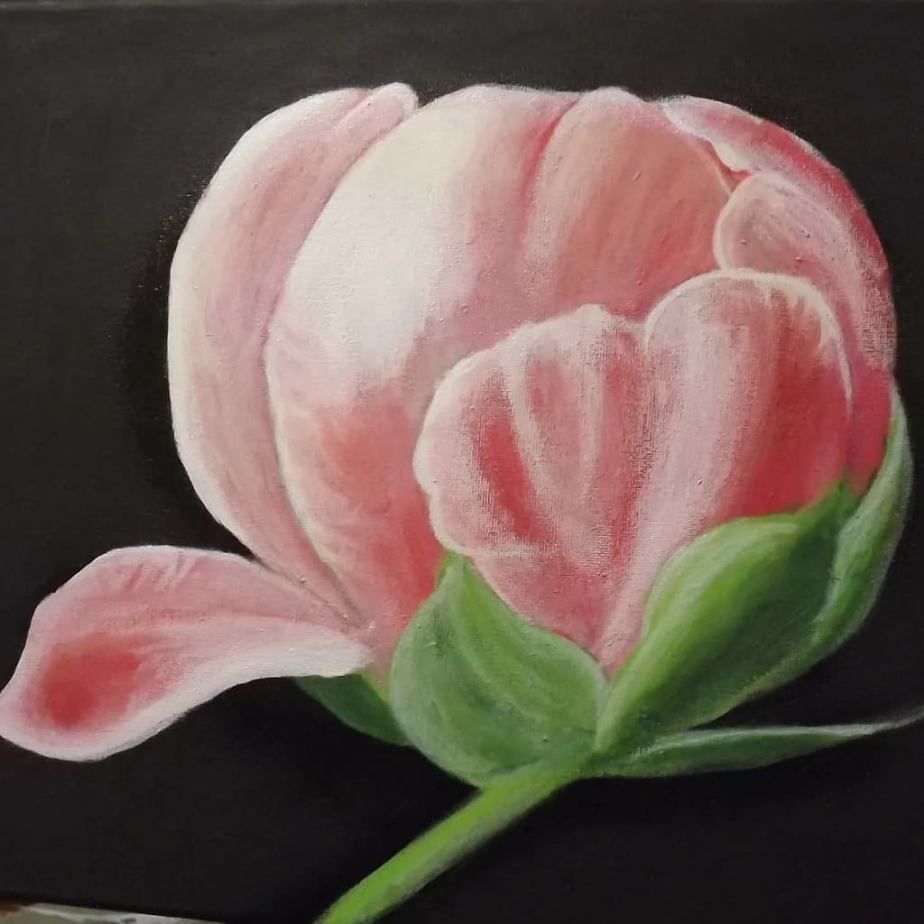Pink Flower Bloom