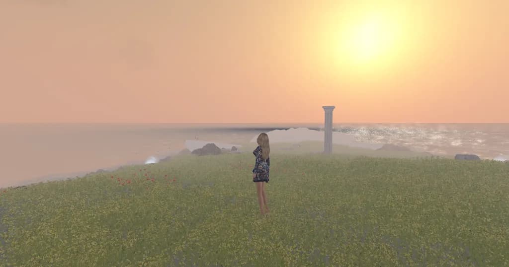Sunset Field View