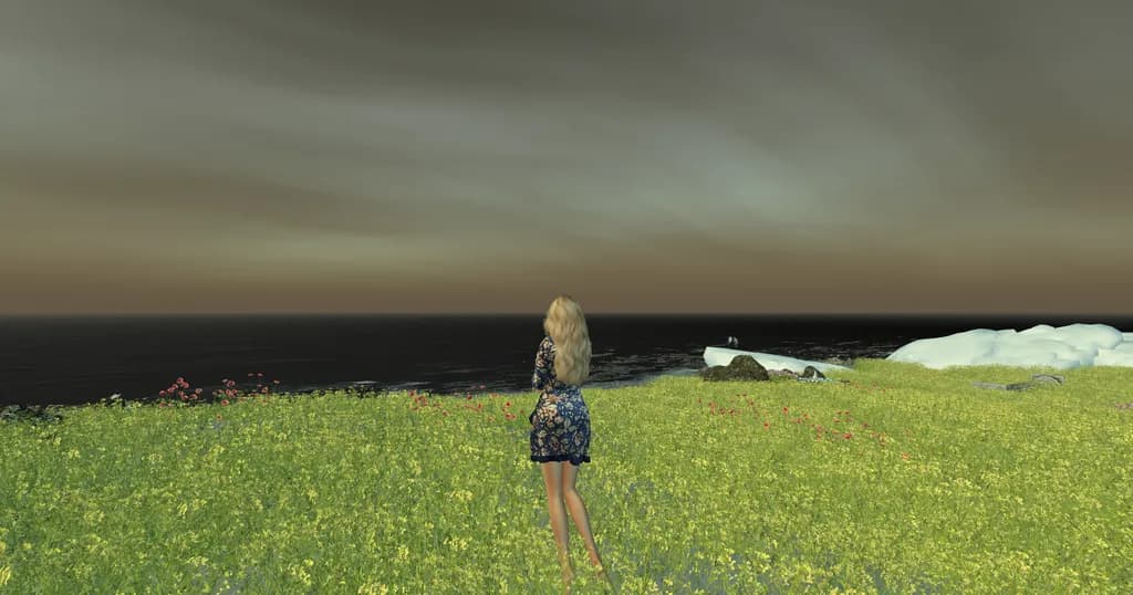 Coastal Meadow View