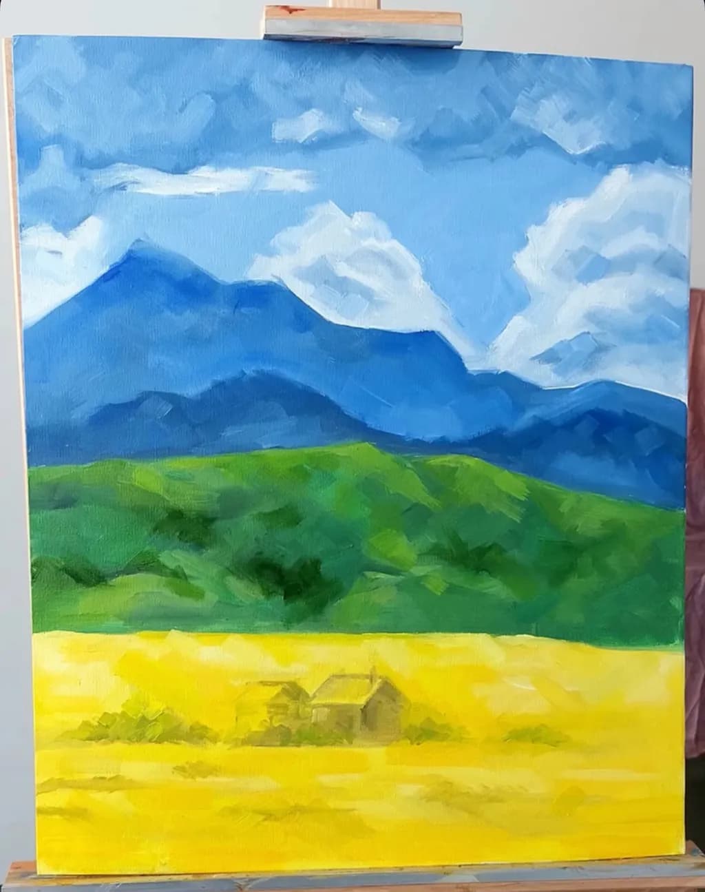 Mountain View with Yellow Field